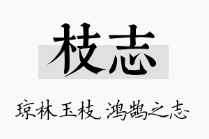 枝志名字的寓意及含义