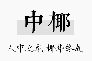 中椰名字的寓意及含义