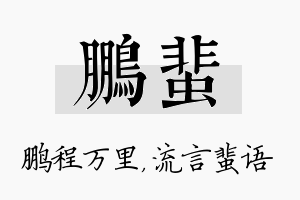 鹏蜚名字的寓意及含义