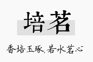 培茗名字的寓意及含义