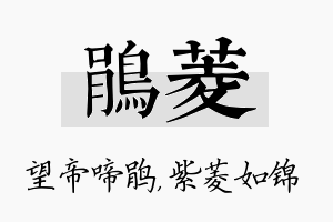 鹃菱名字的寓意及含义