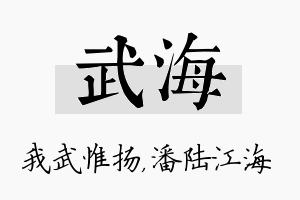 武海名字的寓意及含义