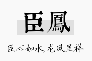 臣凤名字的寓意及含义