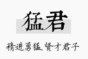 猛君名字的寓意及含义