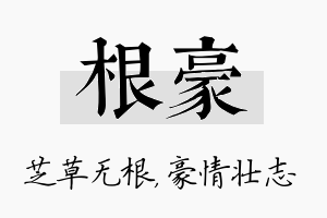 根豪名字的寓意及含义