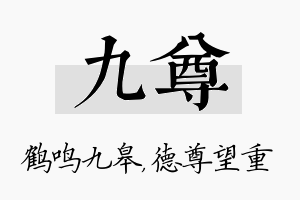 九尊名字的寓意及含义