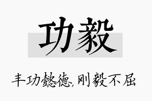 功毅名字的寓意及含义