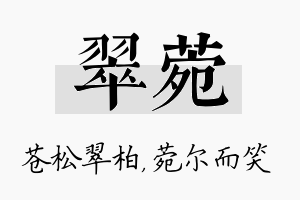 翠菀名字的寓意及含义