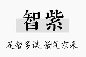 智紫名字的寓意及含义