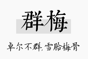 群梅名字的寓意及含义