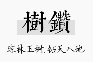 树钻名字的寓意及含义