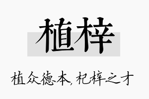 植梓名字的寓意及含义