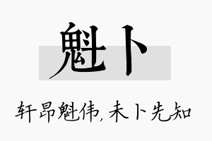 魁卜名字的寓意及含义