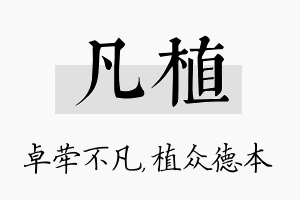 凡植名字的寓意及含义