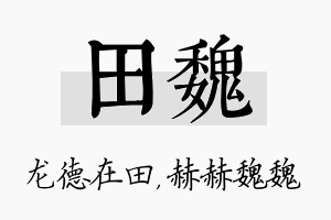 田魏名字的寓意及含义