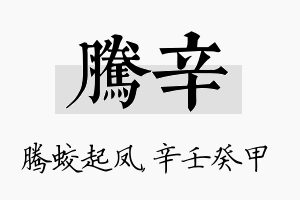 腾辛名字的寓意及含义