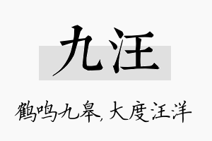 九汪名字的寓意及含义