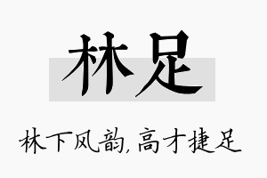 林足名字的寓意及含义