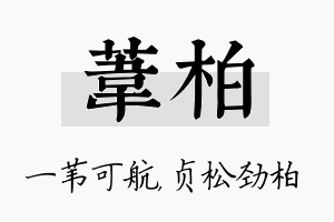 苇柏名字的寓意及含义