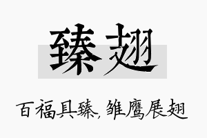 臻翅名字的寓意及含义