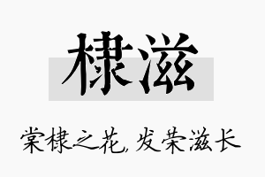 棣滋名字的寓意及含义