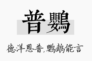 普鹦名字的寓意及含义