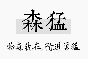 森猛名字的寓意及含义