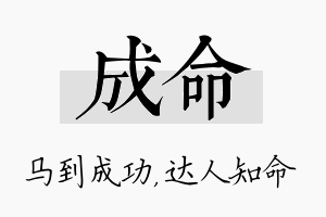 成命名字的寓意及含义