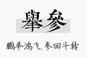 举参名字的寓意及含义