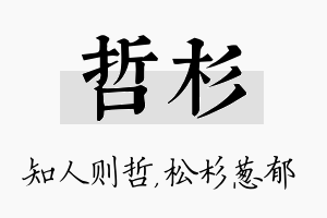 哲杉名字的寓意及含义