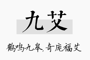 九艾名字的寓意及含义