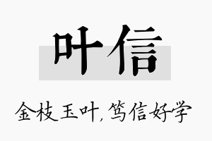 叶信名字的寓意及含义