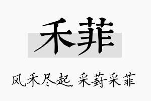 禾菲名字的寓意及含义