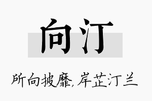 向汀名字的寓意及含义