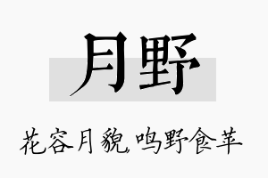 月野名字的寓意及含义