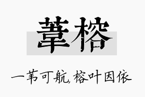 苇榕名字的寓意及含义