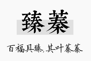 臻蓁名字的寓意及含义