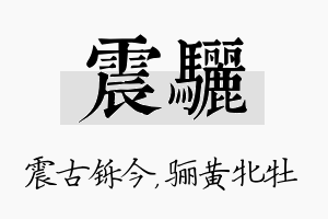 震骊名字的寓意及含义