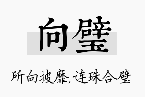 向璧名字的寓意及含义