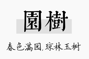 园树名字的寓意及含义