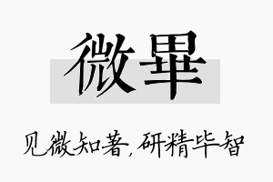 微毕名字的寓意及含义