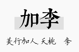 加李名字的寓意及含义