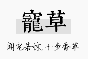 宠草名字的寓意及含义