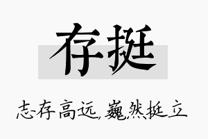 存挺名字的寓意及含义