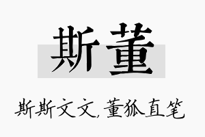 斯董名字的寓意及含义