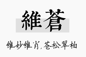 维苍名字的寓意及含义