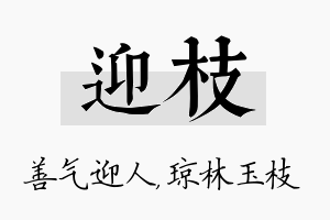 迎枝名字的寓意及含义