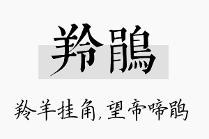 羚鹃名字的寓意及含义