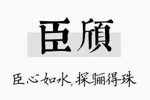 臣颀名字的寓意及含义