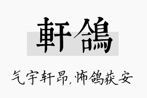 轩鸽名字的寓意及含义